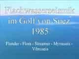 Flachwasserseismik im Golf von Suez