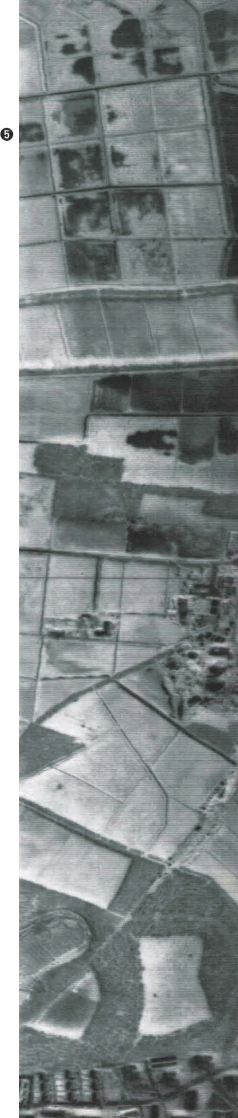 Thermogramm einer Agrarlandschaft bei Münster/Westf.