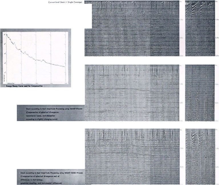Real Amplitude Processing Onshore